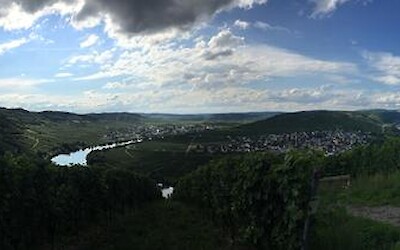 Photo 3 (submitted by Hugh)