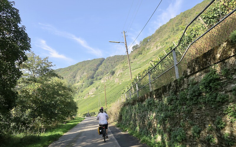 Riding along vineyards (submitted by Jane Fletcher)