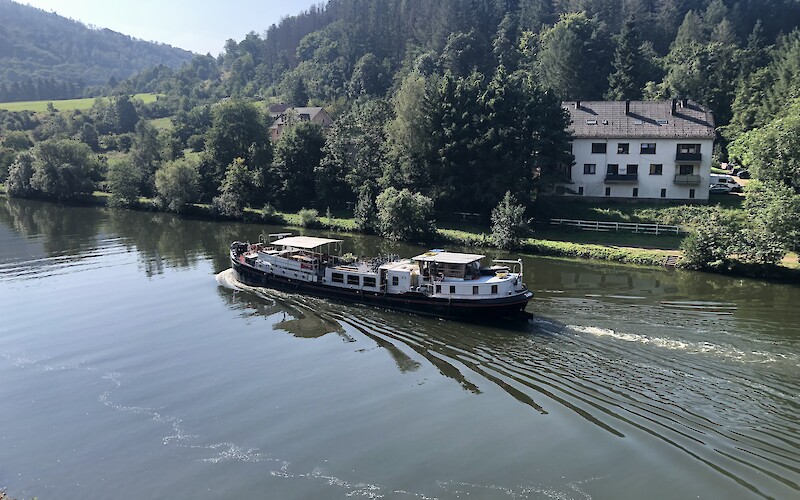 Zwaan on the Saar (submitted by Darlene Ballestero Pirotte)