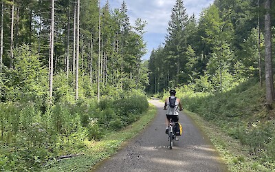 (submitted by Delia Scoville)