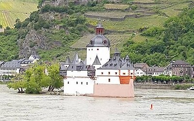 Typical view from the trail. (submitted by krpete)