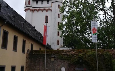 Just another pretty castle along the Rhine (submitted by JustBob)