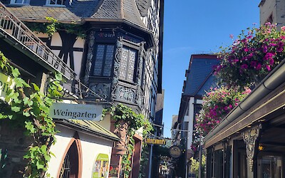 (submitted by Rebecca Heersink)