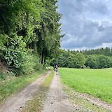 forest roads (photo by Jan M)