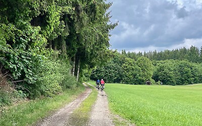 forest roads (submitted by Jan M)