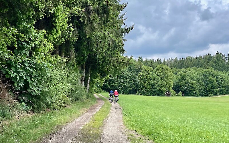 forest roads (submitted by Jan M)