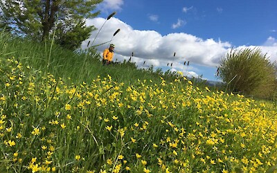 The displays of wildflowers were amazing - everywhere we went. (submitted by Pedalann)