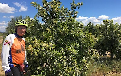 A strong wonderful memory will be the fragrance of oranges as we cycled through the orchards. (submitted by Pedalann)