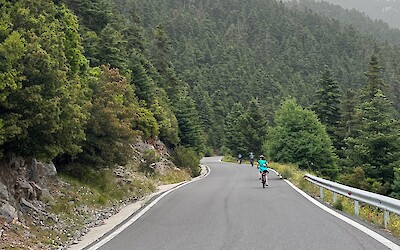 (submitted by Richard S.)