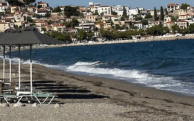 Astros (submitted by Marcia Schattauer)