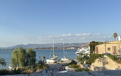 (submitted by Marcia Schattauer)