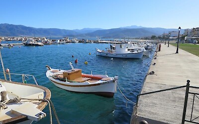 Photo 4 (submitted by Julane)