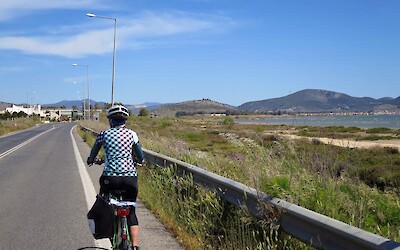 Photo 5 (submitted by Julane)