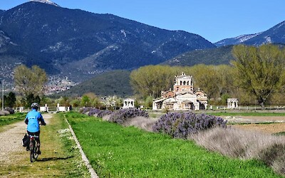 Photo 6 (submitted by Julane)