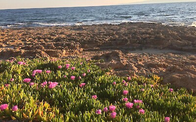 natural landscape (submitted by Brittanyatbiketoursdotcom)