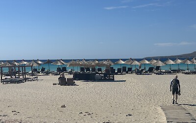 Elanfonosis (submitted by Sigthrudur Jonsdottir)