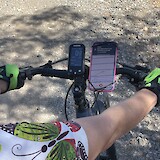 Bike set up. Bike also includes pannier. (photo by Suzanne S)