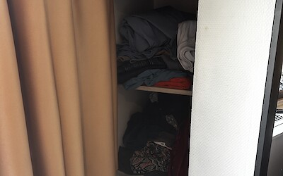 (submitted by Carol Morningstar)