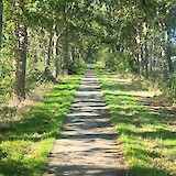 Near Hemelum (photo by Doug Z.)