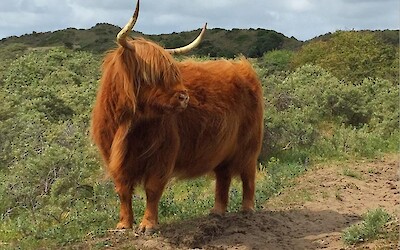 We rode by this cutie on the nature preserve. (submitted by Julie)