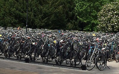Millions of bikes! (submitted by Julie)