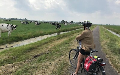 Photo 2 (submitted by Team Wuss)