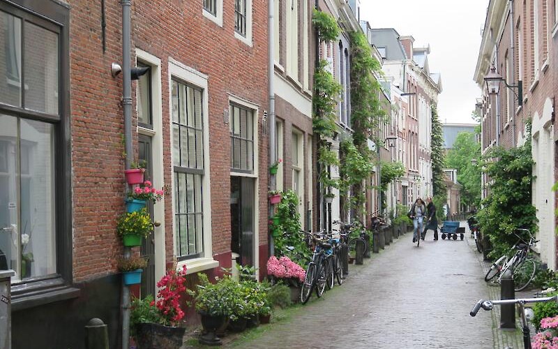 2 A beautiful side street in old Haarlem. (submitted by Pedalann)