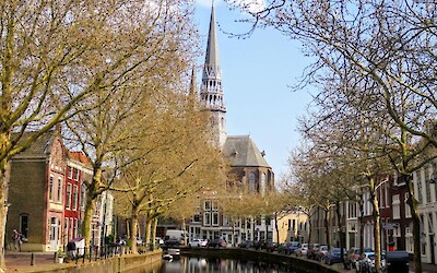 Gouda (submitted by Julane)