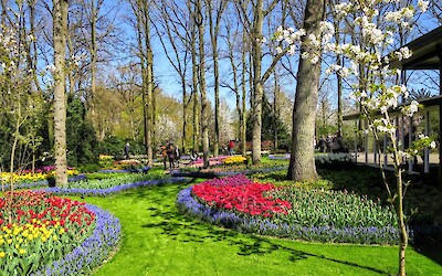 Keukenhof (submitted by Julane)