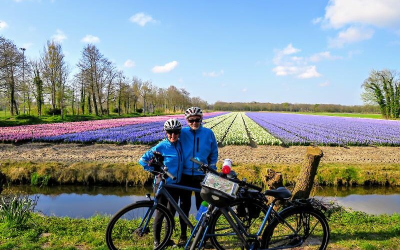 Tulip, daffodil and hyacinth fields (submitted by Julane)