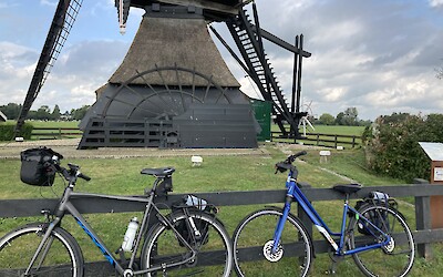 (submitted by Elizabeth Levine)