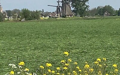 Photo 1 (submitted by Deb1505)