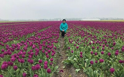 Photo 5 (submitted by Deb1505)