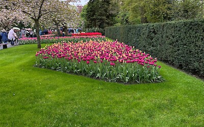 (submitted by Russ Deuell)