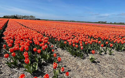 (submitted by Russ Deuell)