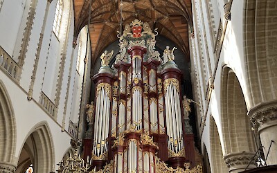 (submitted by John McNeiece)