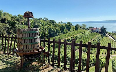 Photo 2 (submitted by Boise cyclist)