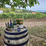 Gergely Winery (photo by Gudrun Agisdottir)