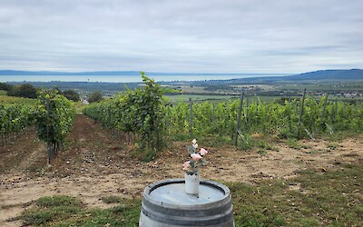 (submitted by Gudrun Agisdottir)