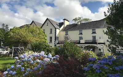 Photo 1 (submitted by PKinGeorgia)