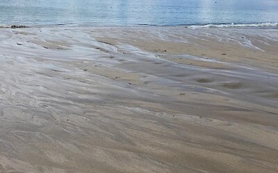 Photo 2 (submitted by PKinGeorgia)