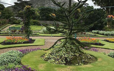 Photo 3 (submitted by PKinGeorgia)