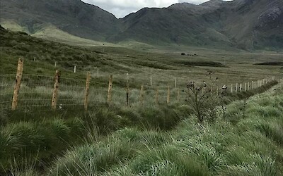 Photo 6 (submitted by PKinGeorgia)