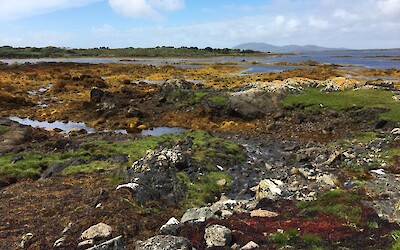 Photo 2 (submitted by katrien)