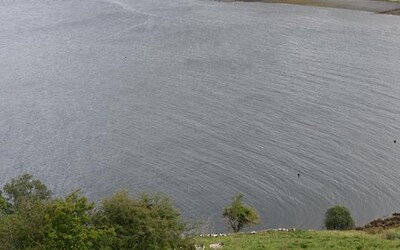 Photo 3 (submitted by katrien)