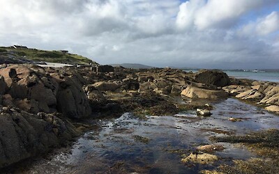 Photo 4 (submitted by katrien)