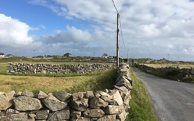 Photo 5 (submitted by katrien)