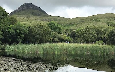 Connemara National Park is worth the uphill climb. Kids loved hiking to the top of Diamond Hill. (submitted by Brendan)