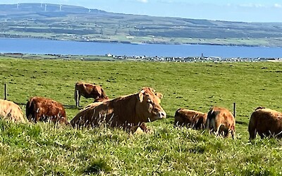 (submitted by Tim and Priscilla)