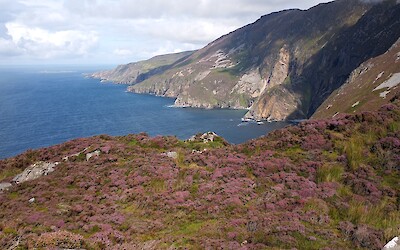 Cliffs at Sliabh Liag (submitted by John Maxfield)